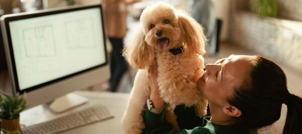 Bürohund Vorteile (Bild: Freepik)